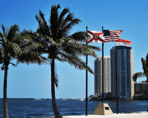 Small Businesses in Florida | What Tax Advantages Do They Have?